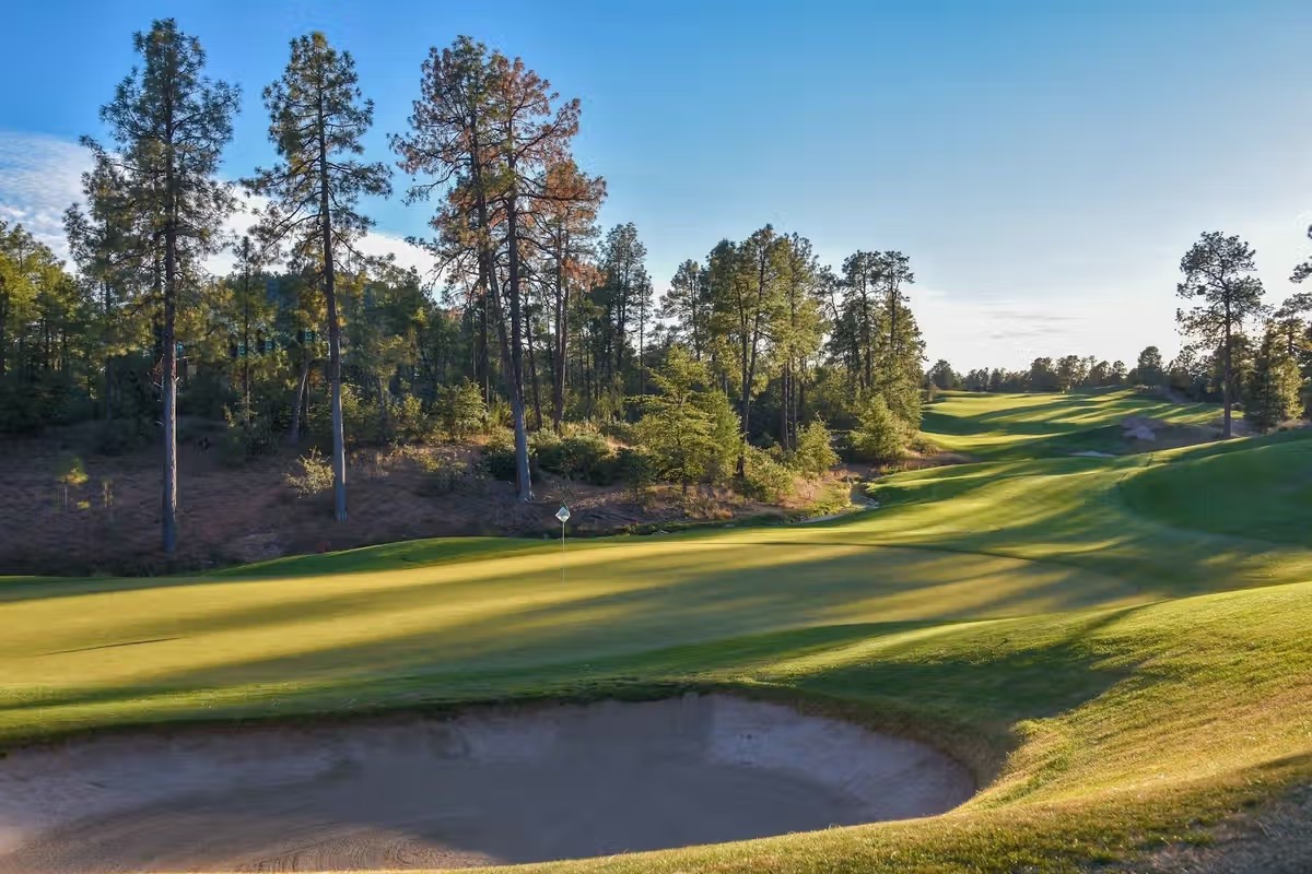 Ponderosa country surrounding The Rim Golf Club